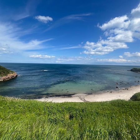 Berwick Holiday Park Haven Luaran gambar